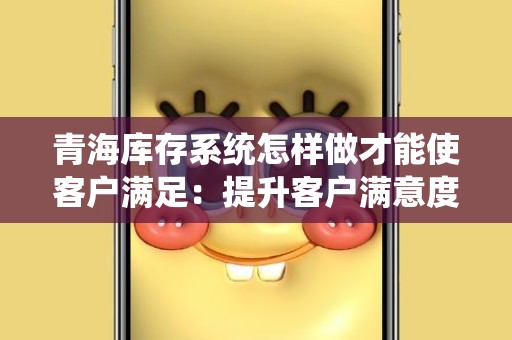 青海库存系统怎样做才能使客户满足：提升客户满意度的全方位策略