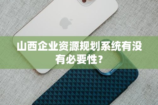 山西企业资源规划系统有没有必要性？