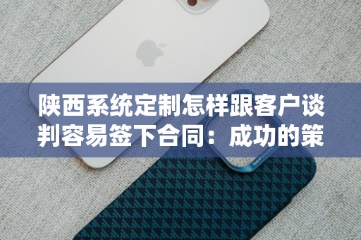 陕西系统定制怎样跟客户谈判容易签下合同：成功的策略与技巧
