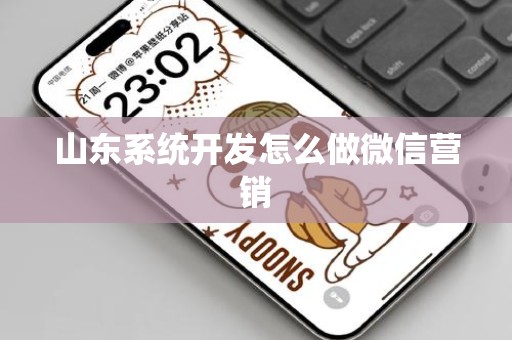 山东系统开发怎么做微信营销