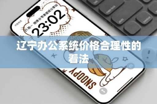 辽宁办公系统价格合理性的看法