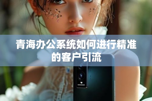 青海办公系统如何进行精准的客户引流
