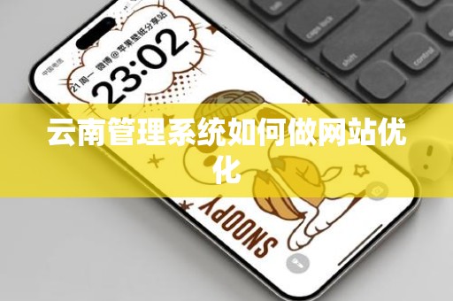 云南管理系统如何做网站优化