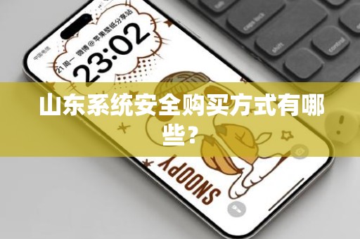山东系统安全购买方式有哪些？