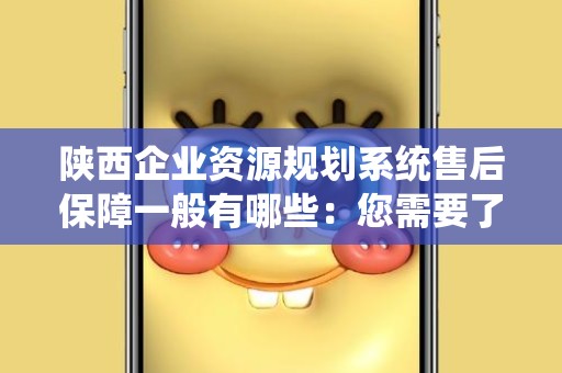 陕西企业资源规划系统售后保障一般有哪些：您需要了解的关键要素