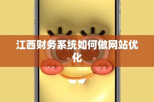 江西财务系统如何做网站优化