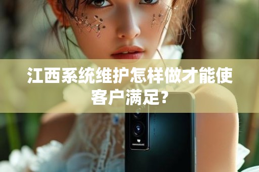 江西系统维护怎样做才能使客户满足？