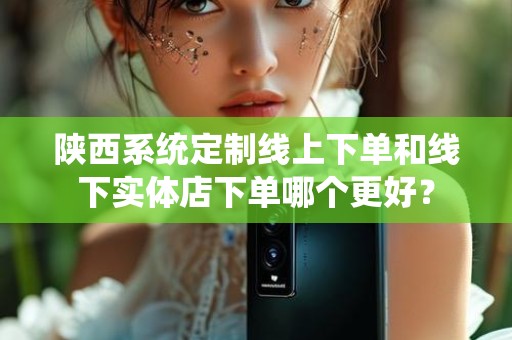 陕西系统定制线上下单和线下实体店下单哪个更好？