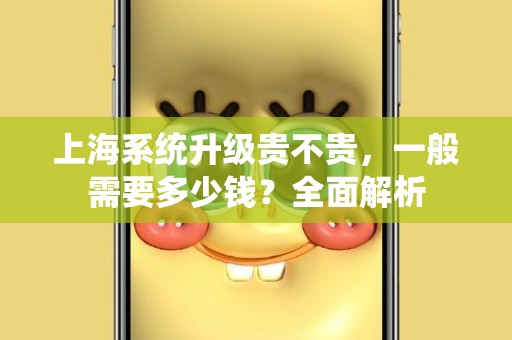 上海系统升级贵不贵，一般需要多少钱？全面解析