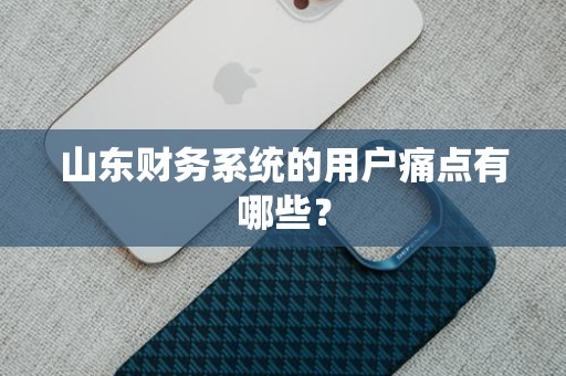 山东财务系统的用户痛点有哪些？