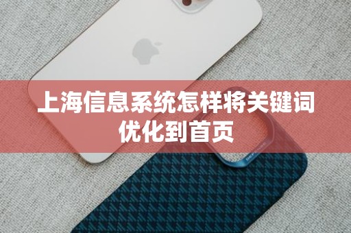 上海信息系统怎样将关键词优化到首页