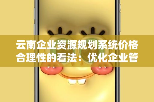 云南企业资源规划系统价格合理性的看法：优化企业管理的投资选择