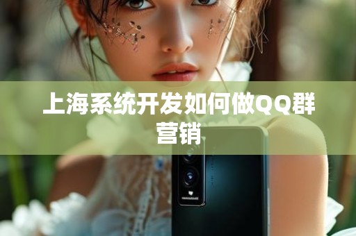 上海系统开发如何做QQ群营销
