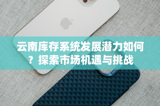 云南库存系统发展潜力如何？探索市场机遇与挑战