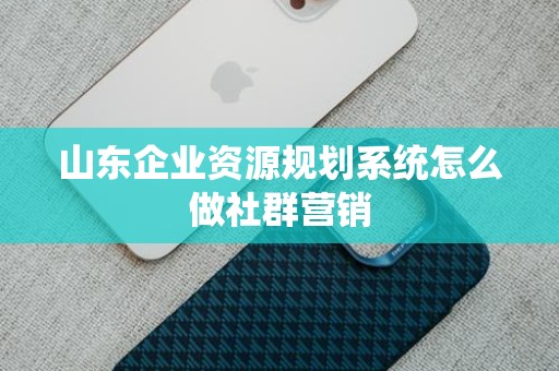 山东企业资源规划系统怎么做社群营销