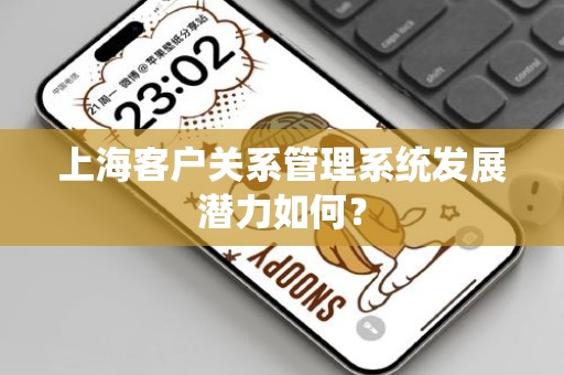 上海客户关系管理系统发展潜力如何？