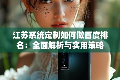 江苏系统定制如何做百度排名：全面解析与实用策略