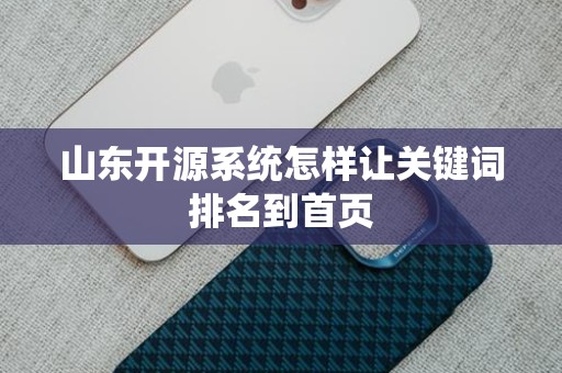 山东开源系统怎样让关键词排名到首页