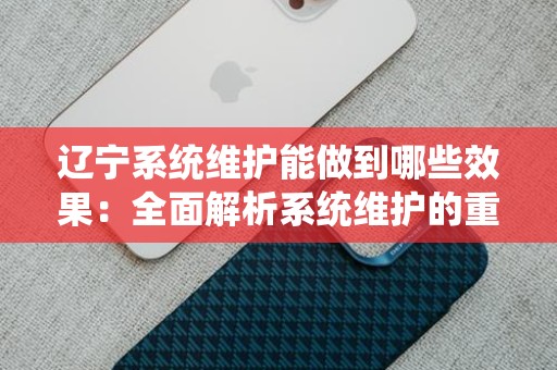 辽宁系统维护能做到哪些效果：全面解析系统维护的重要性