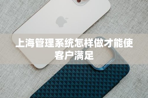 上海管理系统怎样做才能使客户满足