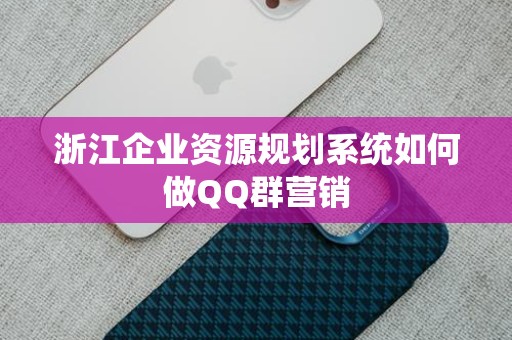 浙江企业资源规划系统如何做QQ群营销