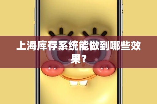 上海库存系统能做到哪些效果？