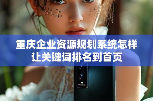 重庆企业资源规划系统怎样让关键词排名到首页