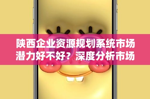 陕西企业资源规划系统市场潜力好不好？深度分析市场前景