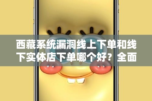 西藏系统漏洞线上下单和线下实体店下单哪个好？全面分析与比较