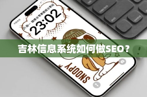 吉林信息系统如何做SEO？