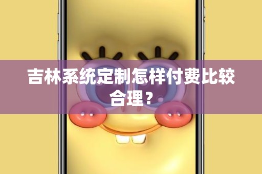 吉林系统定制怎样付费比较合理？