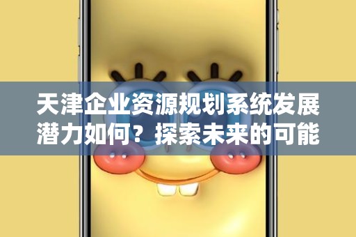 天津企业资源规划系统发展潜力如何？探索未来的可能性与趋势