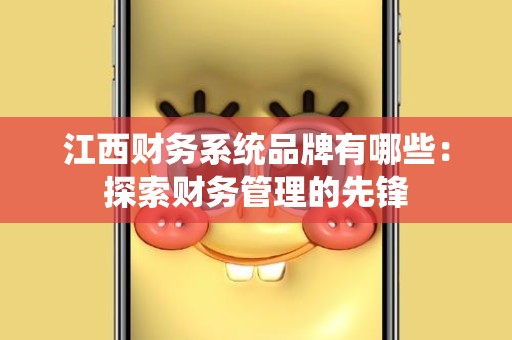 江西财务系统品牌有哪些：探索财务管理的先锋
