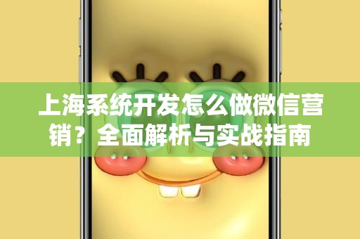 上海系统开发怎么做微信营销？全面解析与实战指南