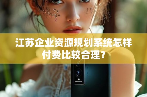 江苏企业资源规划系统怎样付费比较合理？
