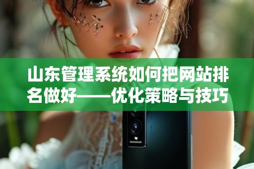 山东管理系统如何把网站排名做好——优化策略与技巧