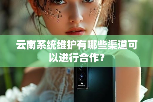 云南系统维护有哪些渠道可以进行合作？