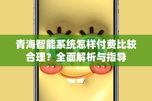 青海智能系统怎样付费比较合理？全面解析与指导