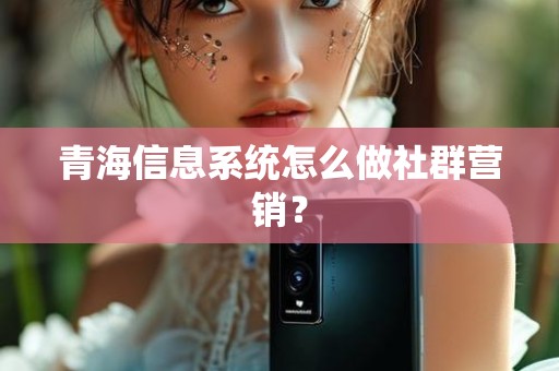 青海信息系统怎么做社群营销？