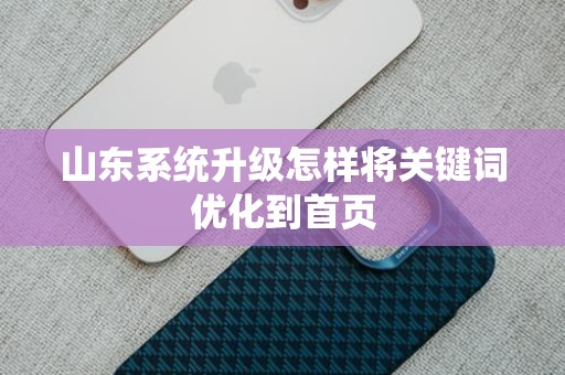 山东系统升级怎样将关键词优化到首页