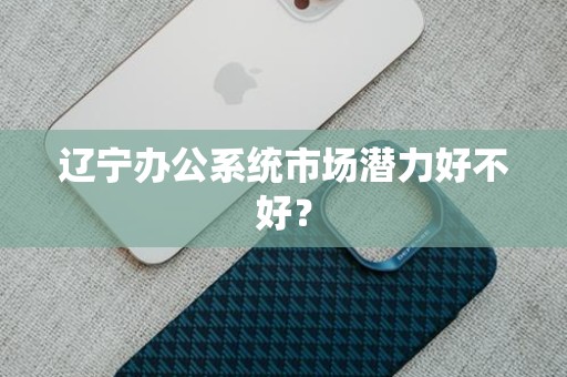 辽宁办公系统市场潜力好不好？