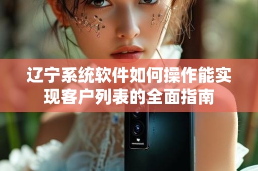 辽宁系统软件如何操作能实现客户列表的全面指南