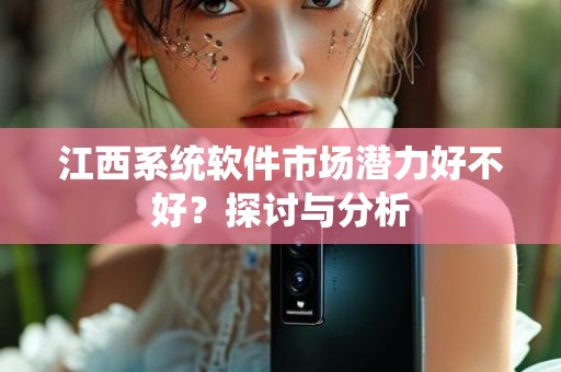江西系统软件市场潜力好不好？探讨与分析