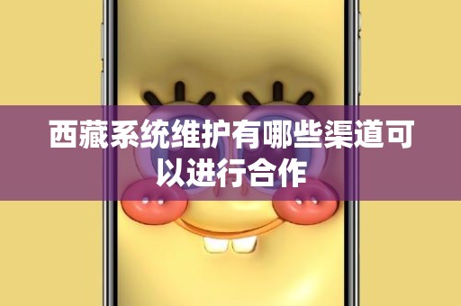 西藏系统维护有哪些渠道可以进行合作