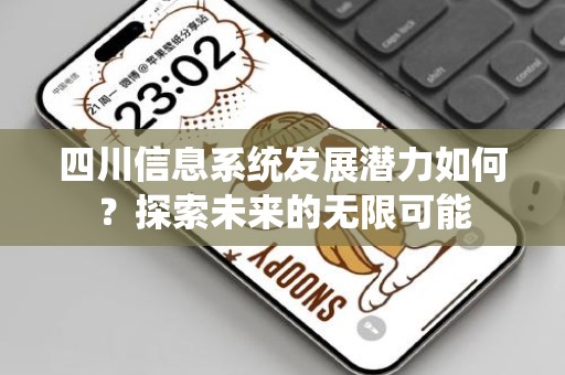 四川信息系统发展潜力如何？探索未来的无限可能