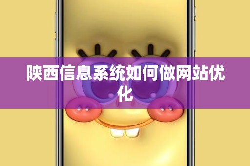 陕西信息系统如何做网站优化