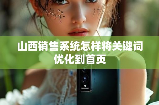 山西销售系统怎样将关键词优化到首页
