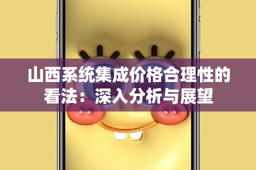 山西系统集成价格合理性的看法：深入分析与展望