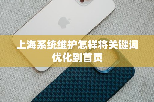 上海系统维护怎样将关键词优化到首页