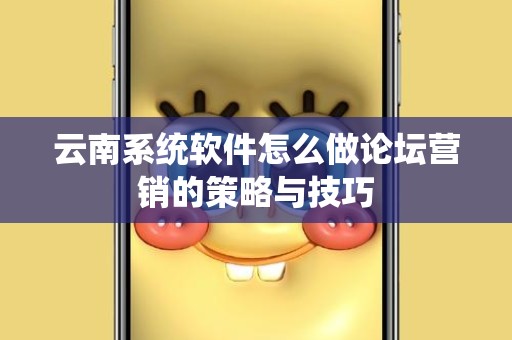 云南系统软件怎么做论坛营销的策略与技巧